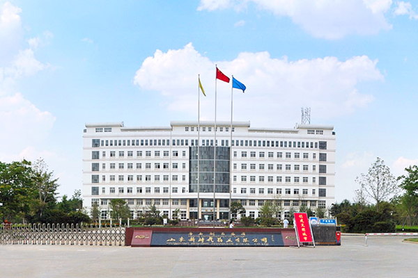 山东新时代药业有限公司
